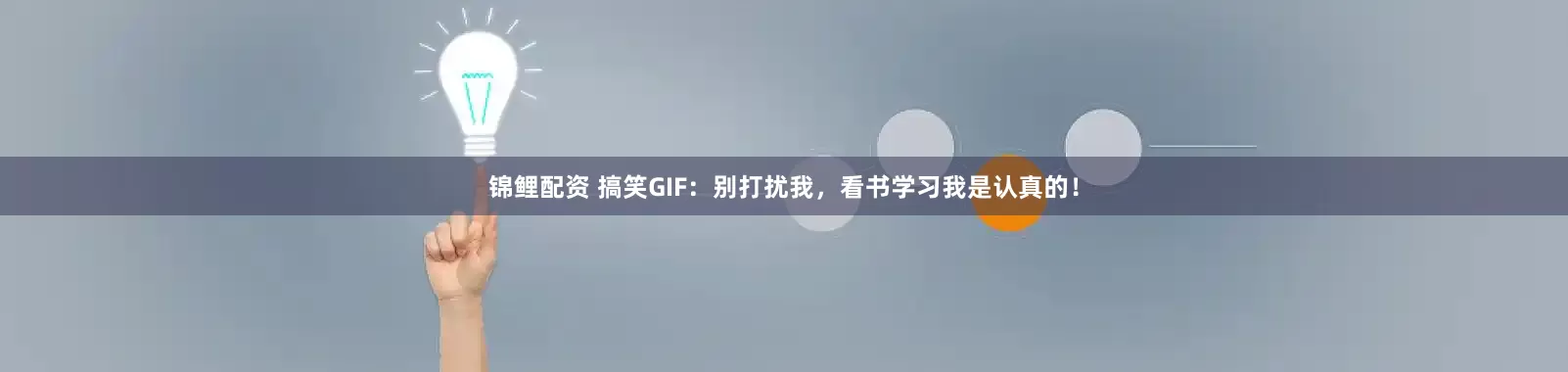锦鲤配资 搞笑GIF:别打扰我,看书学习我是认真的!